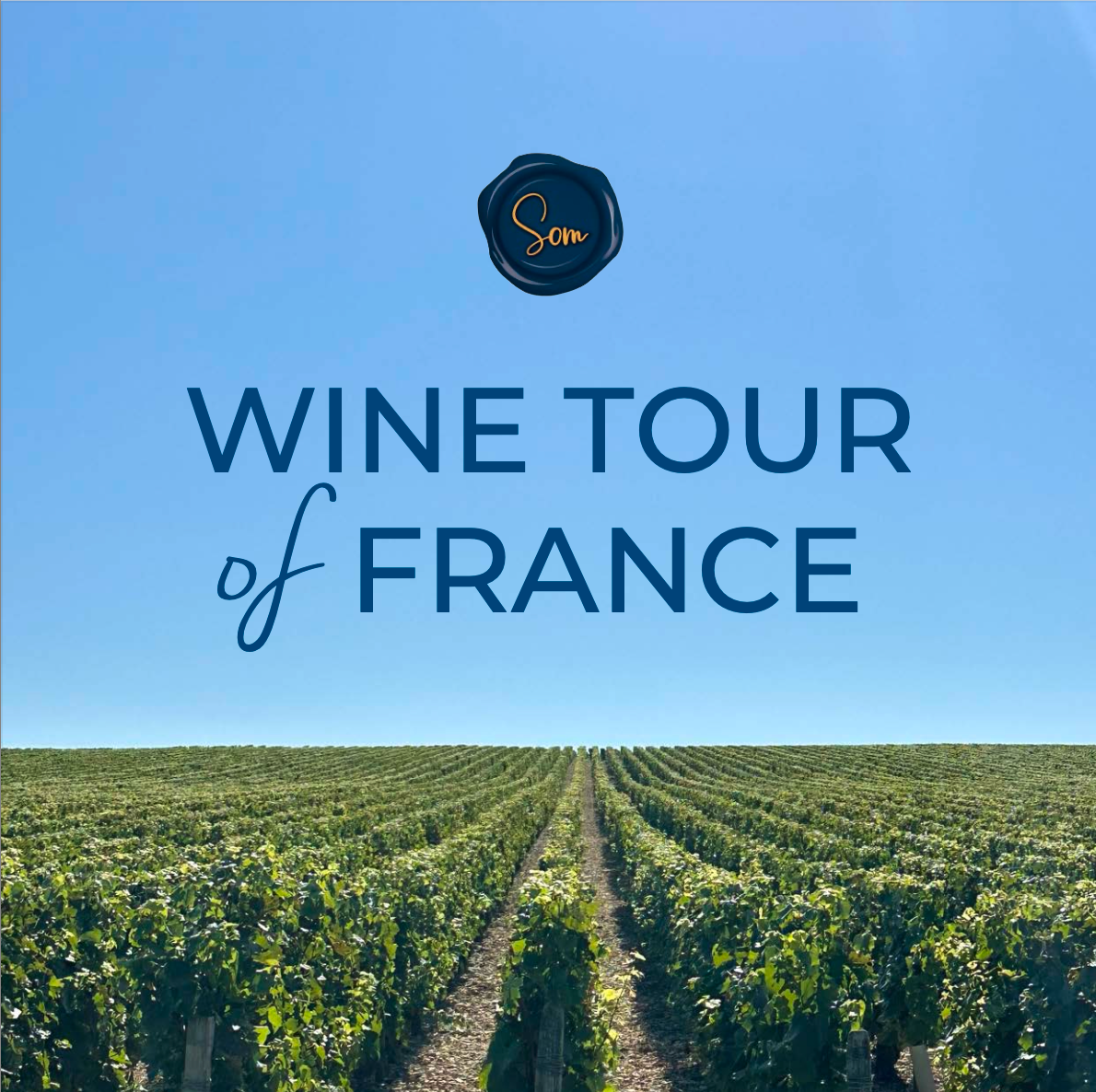 Wine Tour of France 2024
